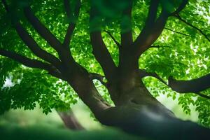 photo wallpaper the sky, trees, leaves, green, the sun, trees, the forest,. AI-Generated