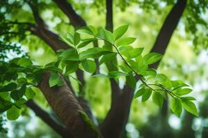 a green tree with leaves and branches. AI-Generated photo