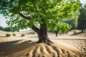 a tree in the desert with sand dunes. AI-Generated photo