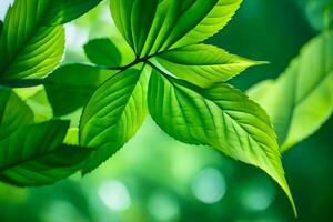 cerca arriba de verde hojas en un árbol. generado por ai foto