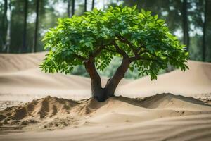 a small tree growing out of the sand in the desert. AI-Generated photo