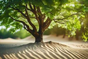 a tree in the desert with sand dunes. AI-Generated photo