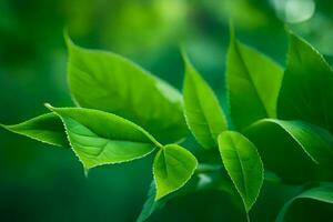 verde hojas en un árbol. generado por ai foto