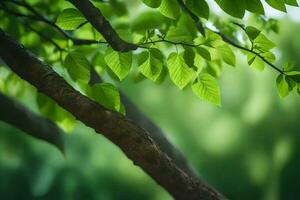 a tree branch with green leaves. AI-Generated photo