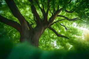 el Dom brilla mediante el hojas de un árbol. generado por ai foto