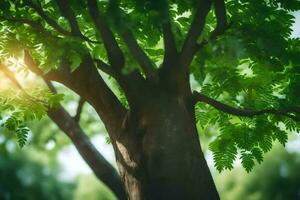 a tree with green leaves and sunlight shining through. AI-Generated photo