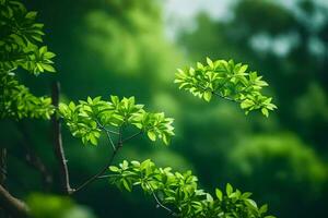 green leaves on a tree branch in front of a green background. AI-Generated photo
