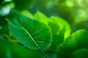 verde hojas en el luz de sol. generado por ai foto