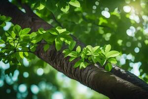 a tree branch with green leaves. AI-Generated photo
