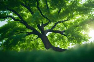 un árbol es mostrado en el luz de sol con verde hojas. generado por ai foto