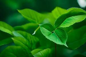 un cerca arriba de un verde hoja con hojas. generado por ai foto