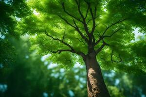 un árbol en el bosque. generado por ai foto