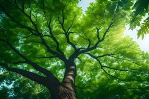 the sun shines through the leaves of a tree. AI-Generated photo