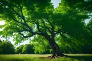 un grande árbol en el medio de un campo. generado por ai foto