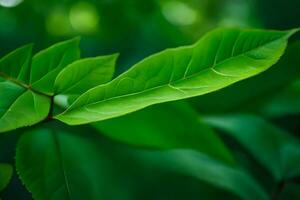 un cerca arriba de un verde hoja. generado por ai foto