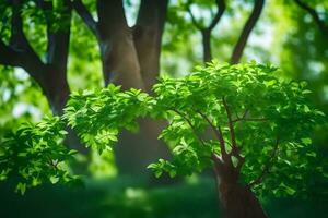 un árbol en el bosque con verde hojas. generado por ai foto