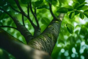 a close up view of a tree with green leaves. AI-Generated photo