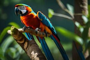 a colorful parrot sits on a branch. AI-Generated photo