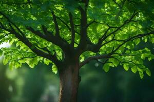 un árbol es mostrado en el primer plano con verde hojas. generado por ai foto