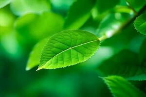 a close up of a green leaf on a tree. AI-Generated photo