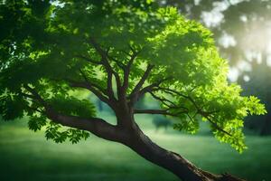 un árbol es mostrado en el medio de un campo. generado por ai foto