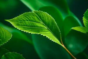 a close up of green leaves on a plant. AI-Generated photo