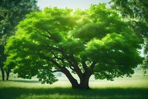 un grande árbol en un verde campo. generado por ai foto