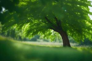 un árbol es en el medio de un campo. generado por ai foto