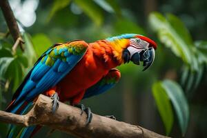 a colorful parrot sits on a branch. AI-Generated photo