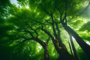 the sun shines through the canopy of a green forest. AI-Generated photo