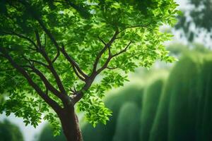 a tree with green leaves in the middle of a forest. AI-Generated photo