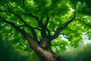 un árbol es mostrado en el primer plano con verde hojas. generado por ai foto