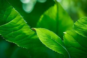 un cerca arriba de verde hojas en el luz de sol. generado por ai foto