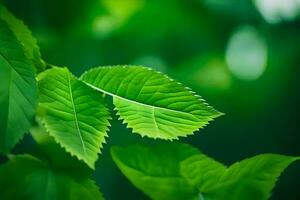 verde hojas en un árbol. generado por ai foto