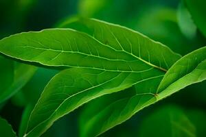 a close up of a green leaf on a plant. AI-Generated photo