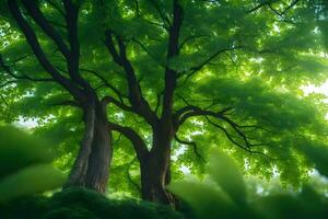 un árbol es mostrado en el luz de sol con verde hojas. generado por ai foto