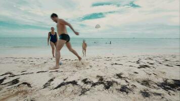 contento famiglia di tre giocando un' palla su il spiaggia video