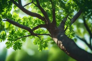 un árbol con verde hojas y luz de sol. generado por ai foto