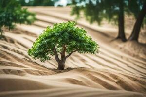 un pequeño árbol creciente en el arena dunas. generado por ai foto