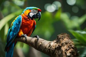 colorful parrot sitting on a branch in the forest. AI-Generated photo