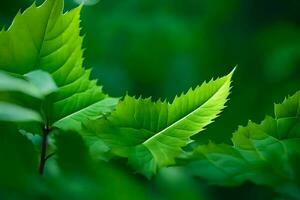 verde hojas en el bosque. generado por ai foto