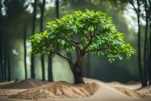 un pequeño árbol creciente en el medio de un arena duna. generado por ai foto