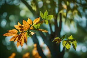 otoño hojas en un árbol. generado por ai foto