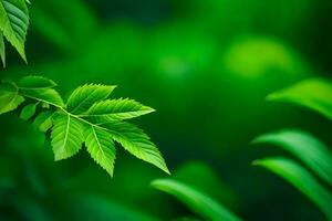 un verde hoja es mostrado en frente de un verde antecedentes. generado por ai foto