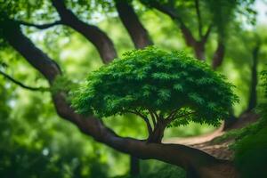 un pequeño árbol es sentado en un rama en el medio de un bosque. generado por ai foto