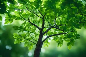 a tree with green leaves in the sunlight. AI-Generated photo