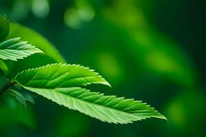 a close up of a green leaf on a tree. AI-Generated photo