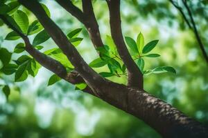 a tree branch with green leaves. AI-Generated photo