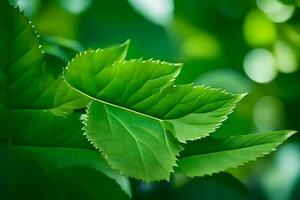 a close up of a leaf with green leaves. AI-Generated photo