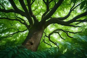 a large tree in the forest with green leaves. AI-Generated photo